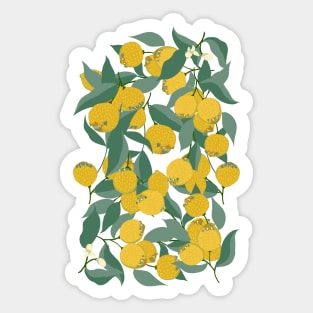 Lemon Pugs Sticker